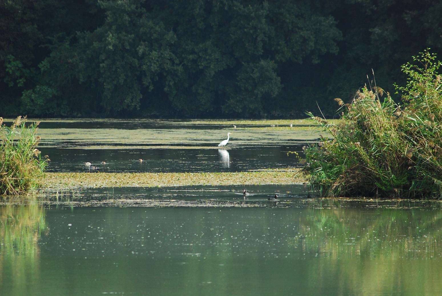 Nazzano Tevere-Farfa